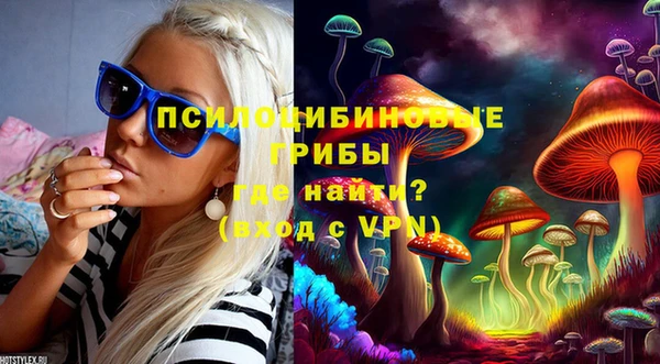 дмт Белокуриха