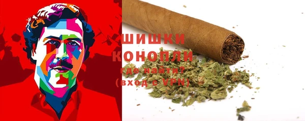 стаф Балахна