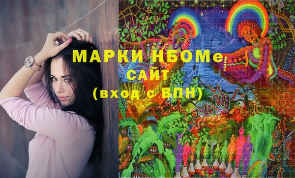дмт Белокуриха