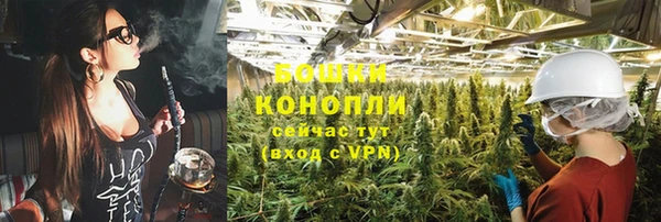 стаф Балахна