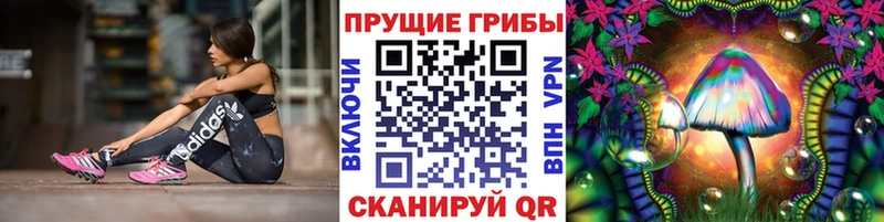Псилоцибиновые грибы ЛСД  Козьмодемьянск 